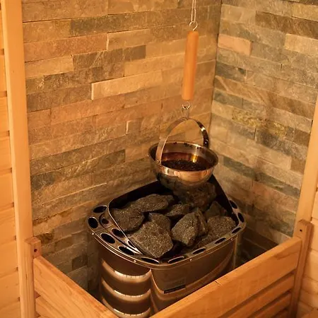 Pensjonat Wellness 7 Harrachov