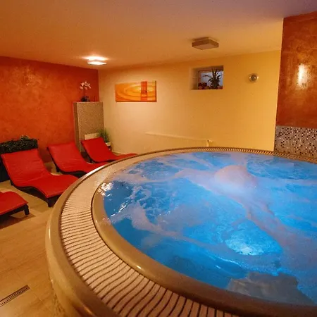Pensjonat Wellness 7 Harrachov