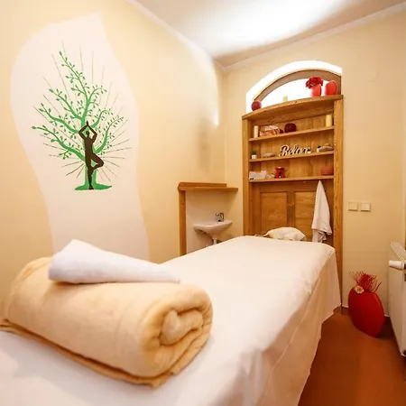 Wellness 7 3* Harrachov