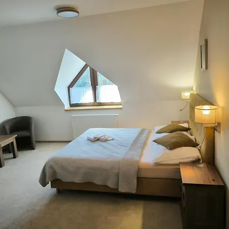 Wellness 7 3* Harrachov