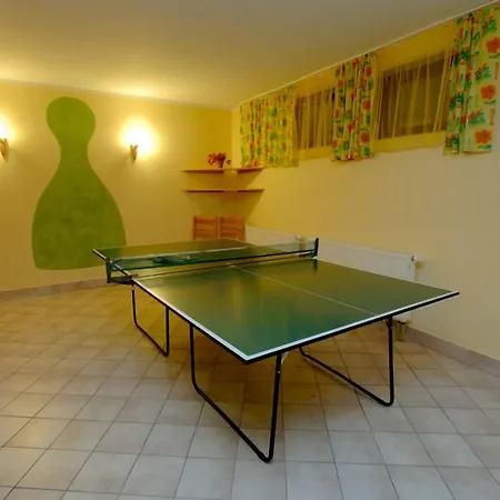 Wellness 7 3* Harrachov