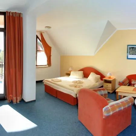 Wellness 7 Pensjonat 3*