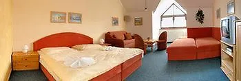 Guest house Wellness 7 Harrachov