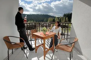 Wellness 7 3* Harrachov