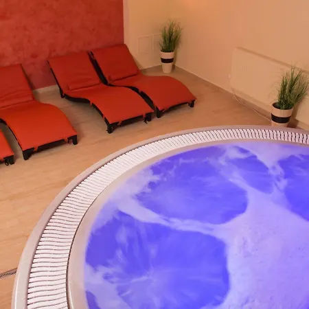 Wellness 7 Harrachov