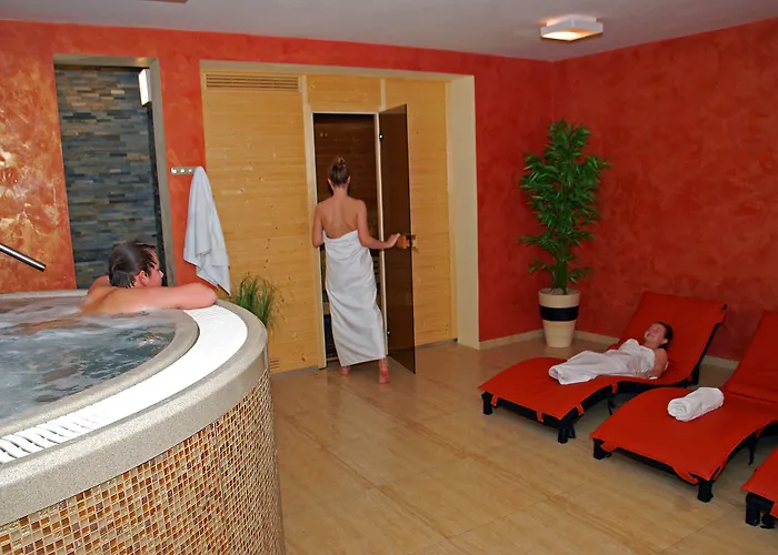 Wellness 7 בית הארחה 3*